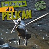 The Life Cycle of a Pelican (Library Binding)