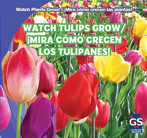 Watch Tulips Grow / 좲ira C?o Crecen Los Tulipanes! (Library Binding)