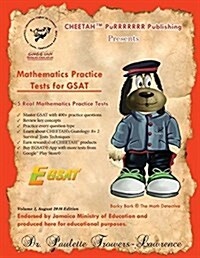 Mathematics Practice Tests for Gsat: 5 Real Practice Gsat Tests (Paperback)