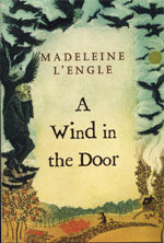 (A) wind in the door 
