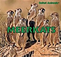 Meerkats (Library Binding)