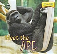 Meet the Ape (Library Binding)