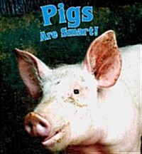 Pigs Are Smart! (Paperback, 1st)