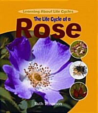 The Life Cycle of a Rose (Library Binding)