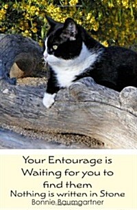 Your Entourage Is Waiting for You to Find Them: Nothing Is Written in Stone (Paperback)