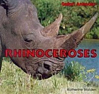 Rhinoceroses (Paperback)