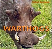 Warthogs (Paperback)