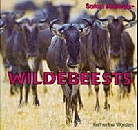 Wildebeests (Paperback)