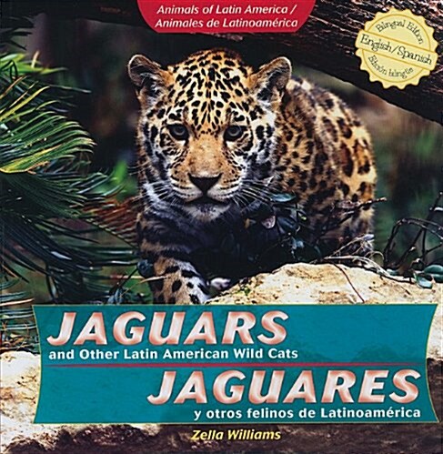 Jaguars and Other Latin American Wild Cats / Jaguares Y Otros Felinos de Latinoam?ica (Paperback)