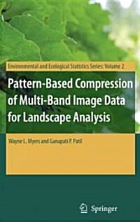 Pattern-based Compression of Multi-band Image Data for Landscape Analysis (Paperback)