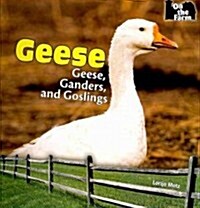 Geese (Paperback)