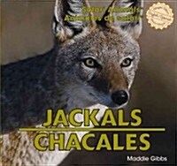 Jackals/Chacales (Library Binding)