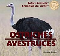 Ostriches / Avestruces (Library Binding)