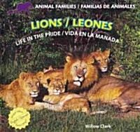 Lions: Life in the Pride / Leones: Vida En La Manada (Library Binding)