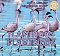 Flamingos / Flamencos (Library Binding)