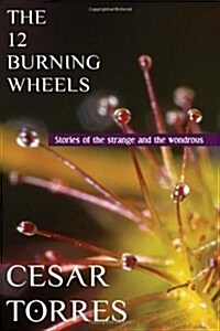 The 12 Burning Wheels (Paperback)