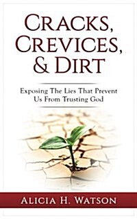 Cracks, Crevices, and Dirt: Exposing the Lies That Prevent Us from Trusting God (Paperback)