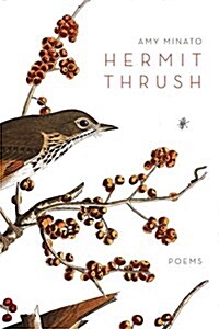 Hermit Thrush (Paperback)