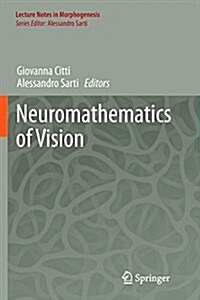 Neuromathematics of Vision (Paperback, Softcover Repri)