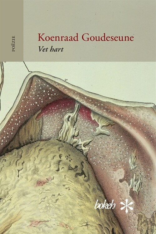 Vet Hart (Paperback)