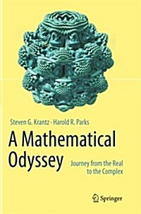 A Mathematical Odyssey: Journey from the Real to the Complex (Paperback, Softcover Repri)