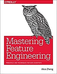 Feature Engineering for Machine Learning: Principles and Techniques for Data Scientists (Paperback)