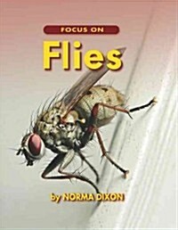 Focus on Flies (Paperback)
