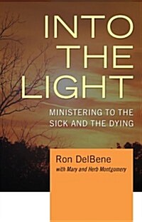 Into the Light (Paperback)