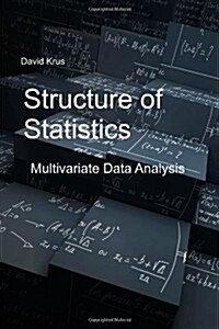 Structure of Statistics (Paperback)