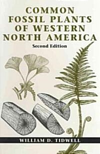 Common Fossil Plants of Western North America, Second Edition (Paperback, 2, Revised)