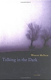 Talking in the Dark (Paperback)