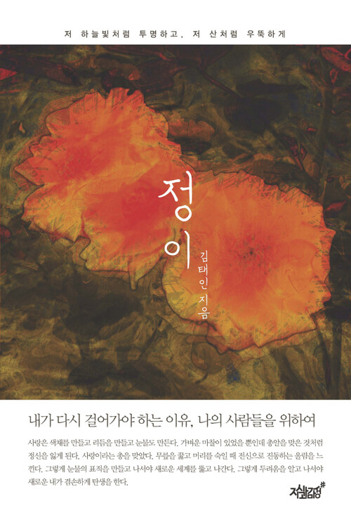 정이 커버
