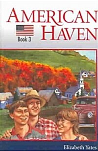 American Haven (Paperback)