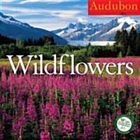 Audubon Wildflowers 2011 Calendar (Paperback)