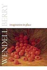 Imagination in Place: Essays (Paperback)