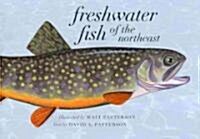 Freshwater Fish of the Northeast (Hardcover)