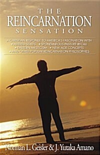 The Reincarnation Sensation (Paperback)