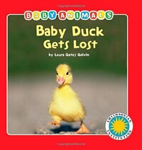 Baby Duck gets lost!