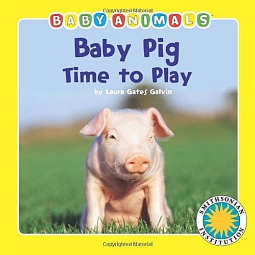 Baby Pig Time to Play [With Pig] (Board Books)