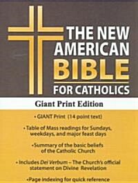 Holy Bible (Paperback, Large Print)