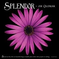 Splendor 2011 Calendar (Paperback, Wall)