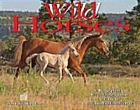 Wild Horses 2011 Calendar (Paperback, Wall)