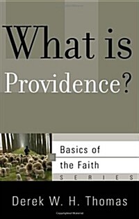 What Is Providence? (Paperback)