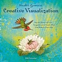 Creative Visualization 2011 Calendar (Paperback, Wall)