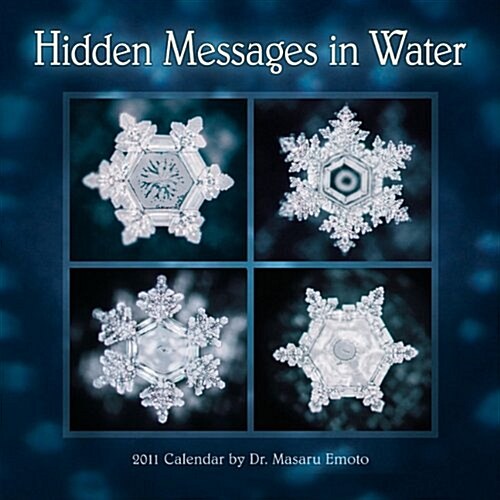 Hidden Messages in Water 2011 Calendar (Paperback, Wall)