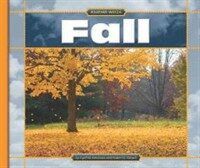 Fall (Library)