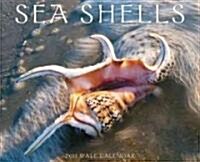 Sea Shells 2011 Calendar (Paperback, Wall)