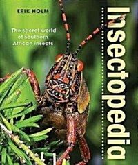 Insectopedia: The Secret World of Southern African Insects (Paperback)