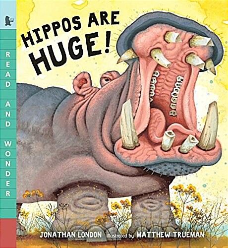 Hippos Are Huge!: Read and Wonder (Paperback)