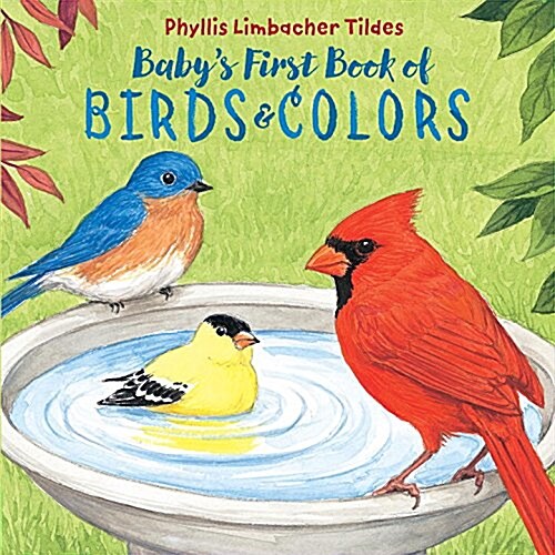 Babys First Book of Birds & Colors (Board Books)